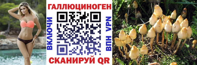 Псилоцибиновые грибы MAGIC MUSHROOMS  Щёлково 